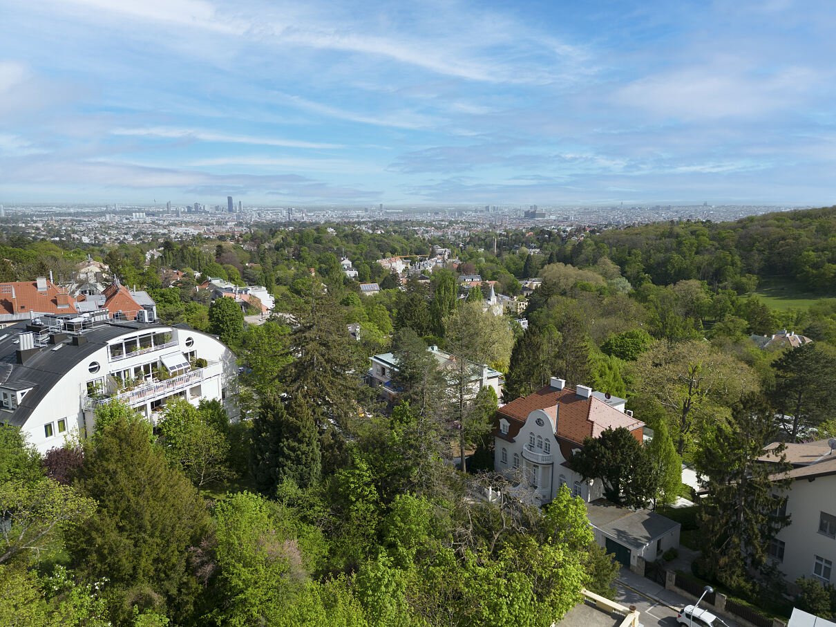 Blick auf Wien